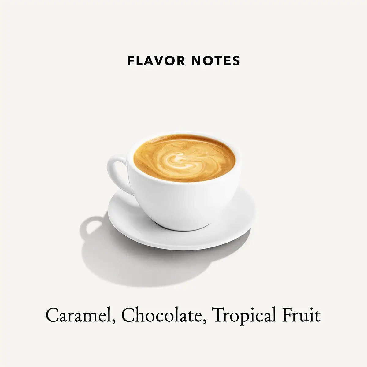 Flavor Notes of Mt Comfort Colombia Medium Roast Whole Bean Coffee: Caramel, Chocolate, Tropical Fruit