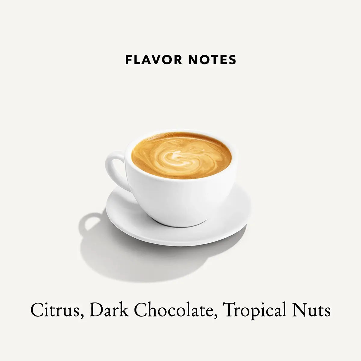 Flavor Notes of Mt Comfort Costa Rica Medium Roast Whole Bean Coffee: Citrus, Dark Chocolate, Tropical Nuts