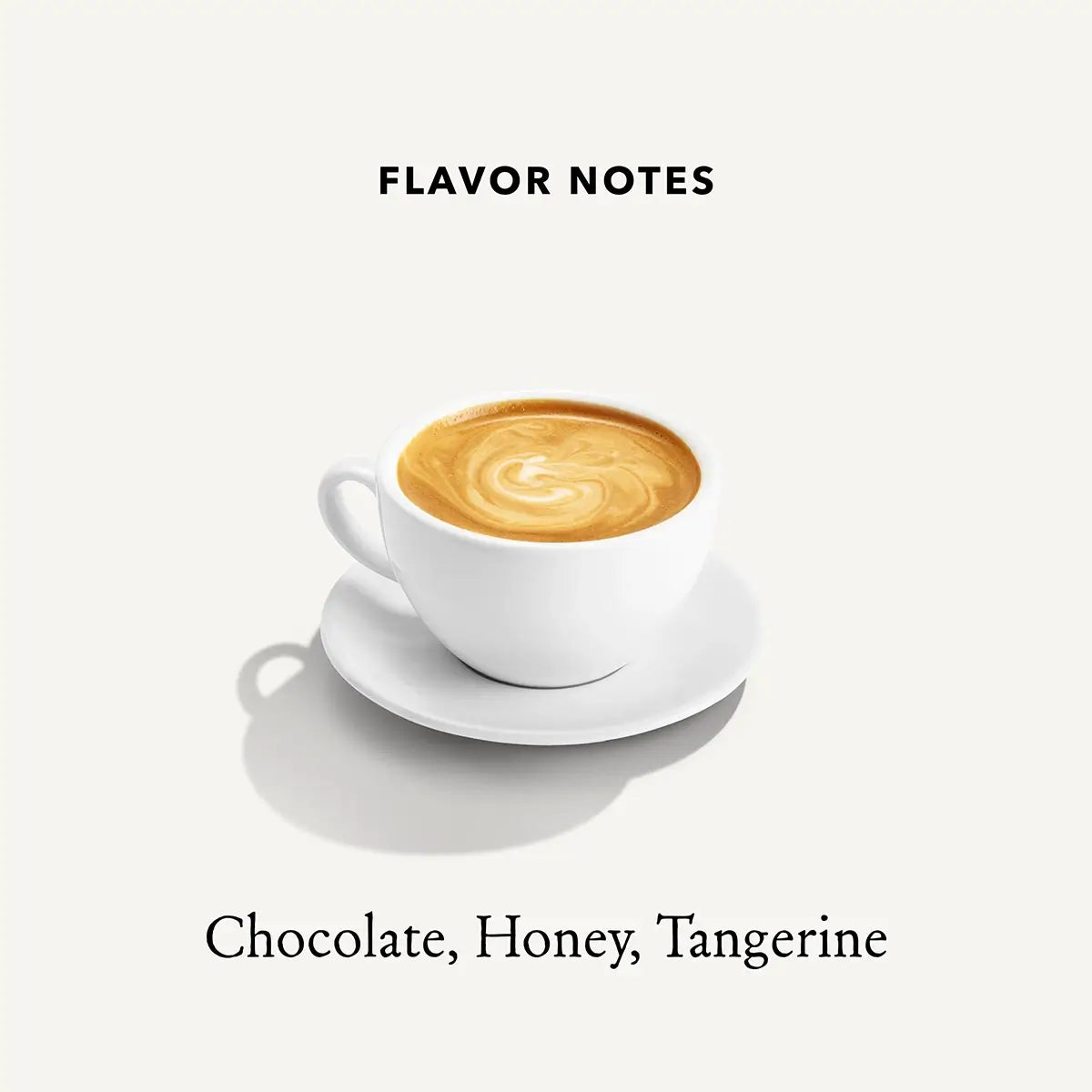 Flavor Notes of Mt Comfort El Salvador Coffee: Chocolate, Honey, Tangerine
