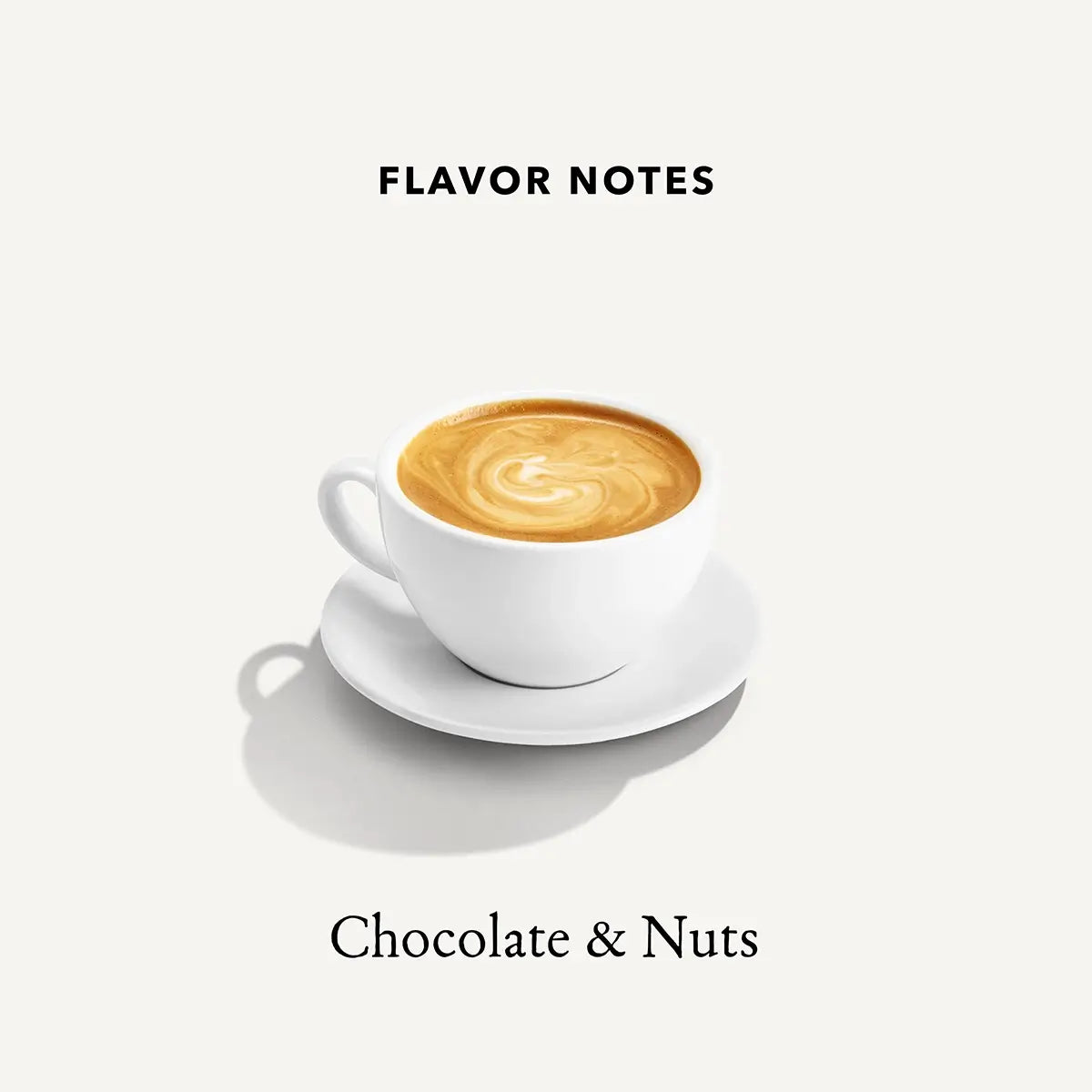 Flavor Notes for Organic Mayan Roast Mt Comfort Coffee Beans: Chocolate & Nuts
