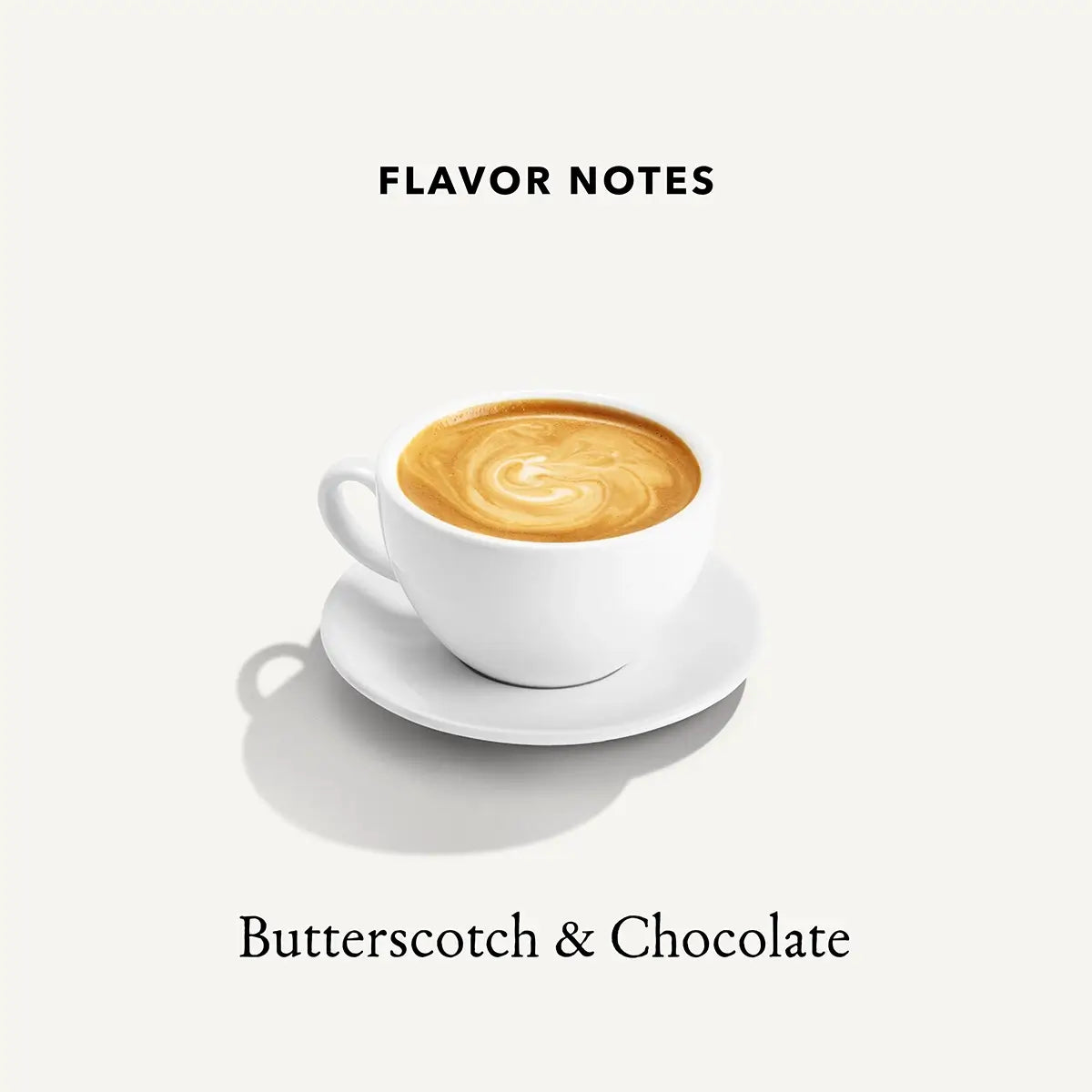 Graphic describing Mt. Comfort Coffee's Sumatra roast flavor notes: Butterscotch & Chocolate