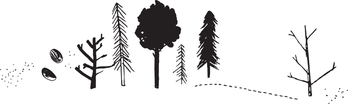 Mt. Comfort Speciality Coffee - Shop Single Origin Whole Bean Coffee ...