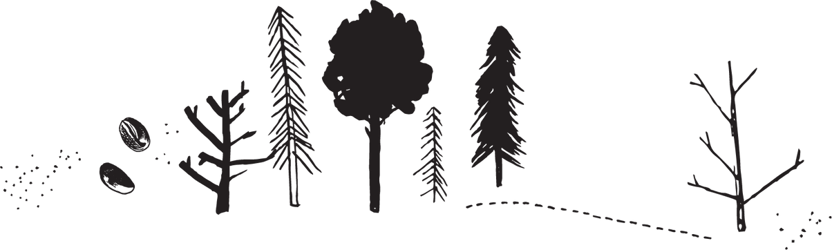 Mt. Comfort Speciality Coffee - Shop Single Origin Whole Bean Coffee ...